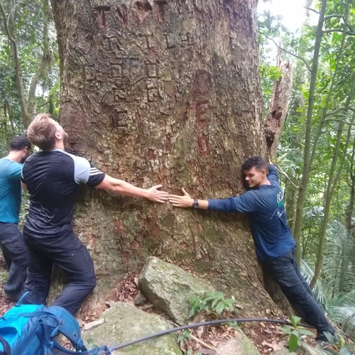 Escalada Experimental na REserva Florestal Jequitiba Rosa