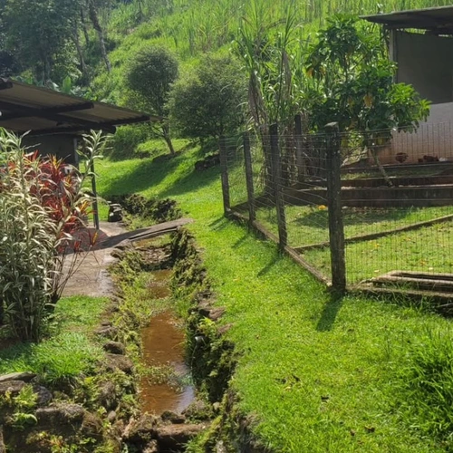 Cachaçaria Artesanal - Sítio São Joaquim