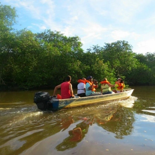 Pantanal Fluminense + Observação dos Botos Cinza