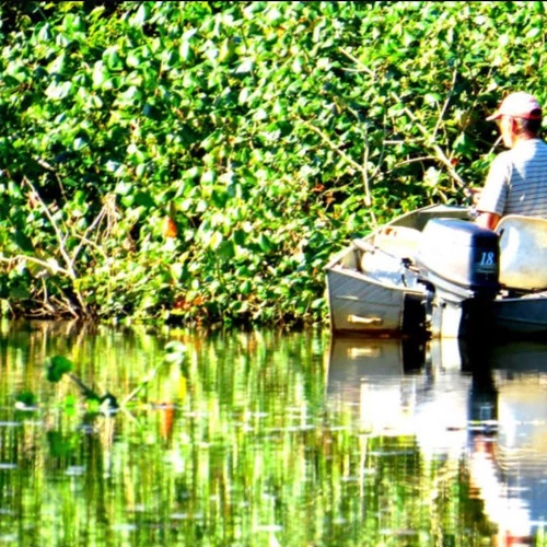Pesca do Robalo