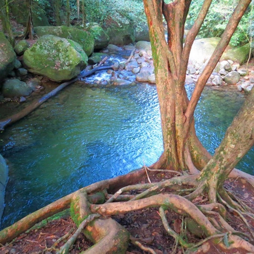 Trilha Cachoeira da Concórdia